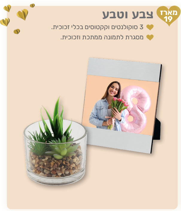 צבע וטבע - מארז המכיל: 
3 סוקולנטים/קקטוסים בכלי זכוכית. 
מסגרת לתמונה ממתכת וזכוכית.